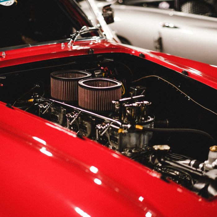 pexels-mathias-reding-9381004